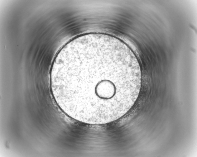 X0000093740807200710301103