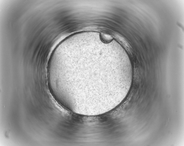 X0000093740808200710301103