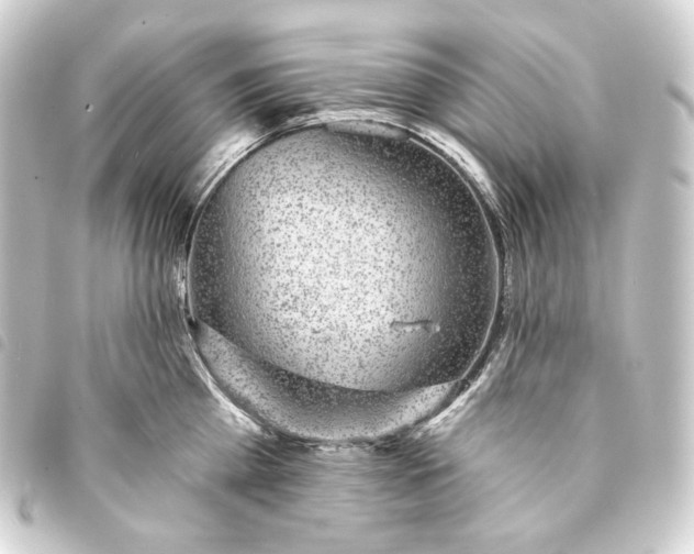 X0000093740809200710301103