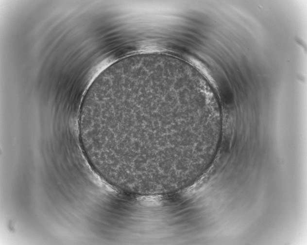 X0000093740810200710301103