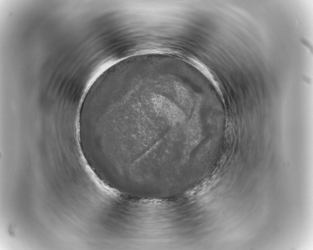 X0000093740811200710301103