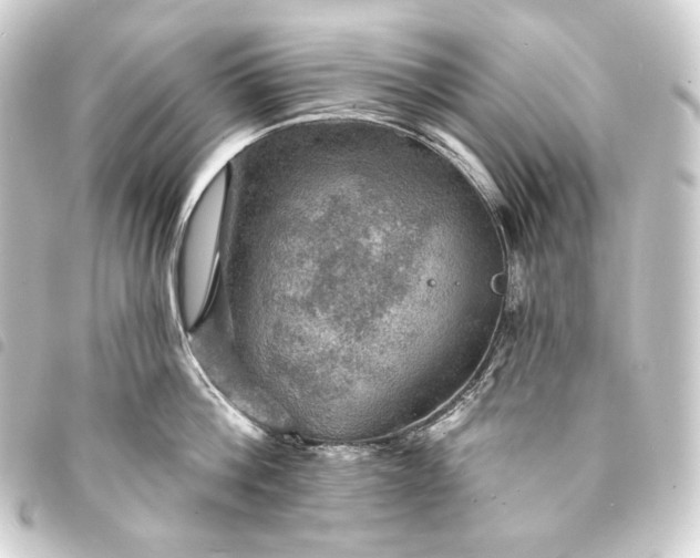 X0000093740812200710301103