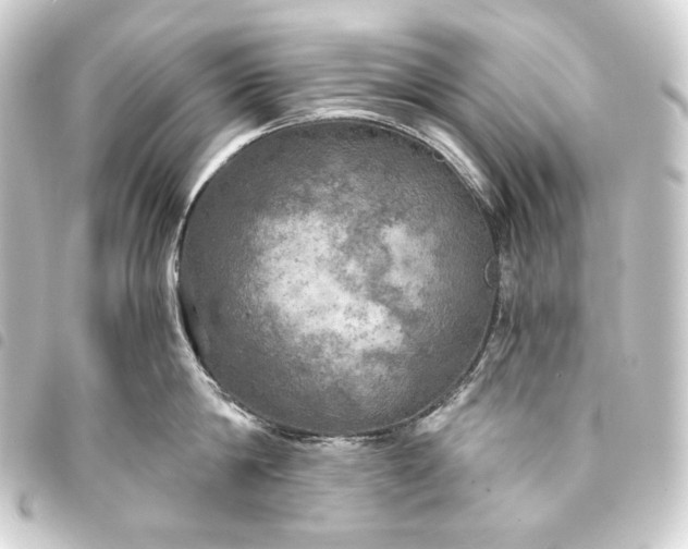 X0000093740814200710301103