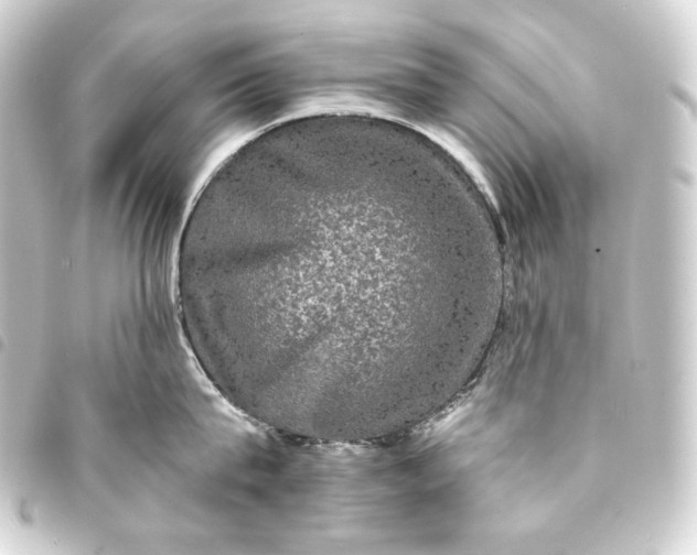 X0000093740815200710301103