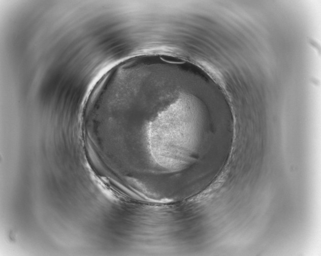 X0000093740816200710301103