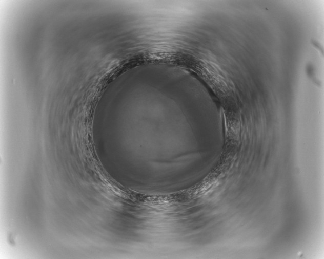 X0000093740817200710301103