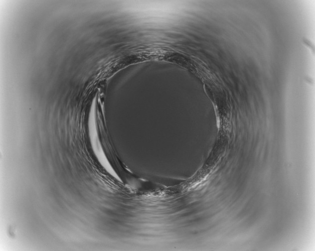 X0000093740818200710301103