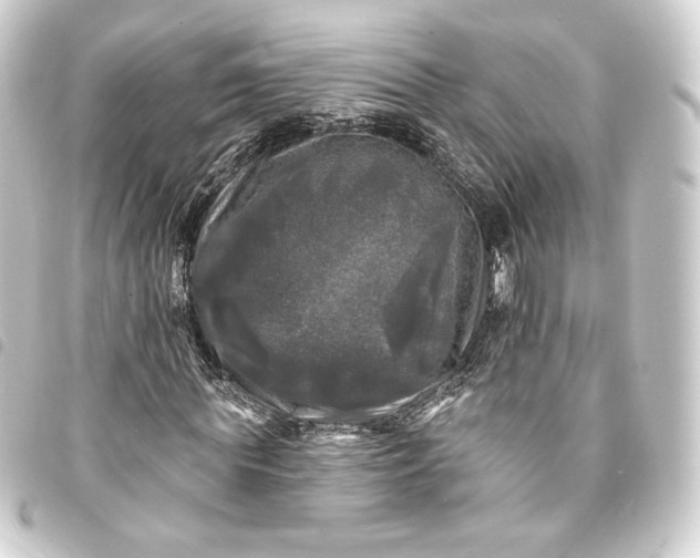 X0000093740819200710301103