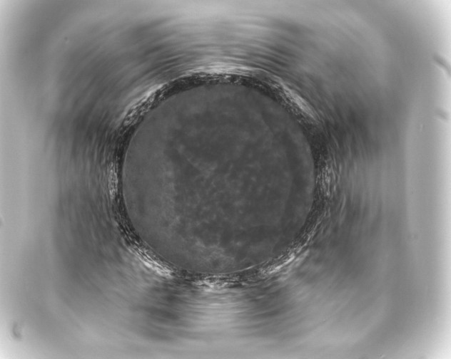 X0000093740821200710301103