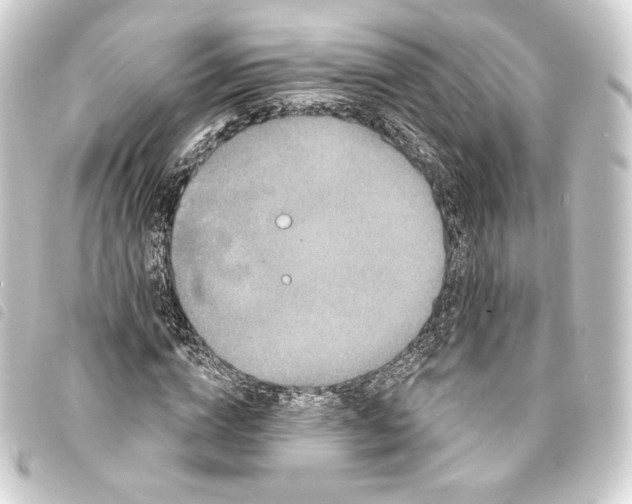 X0000093740824200710301103