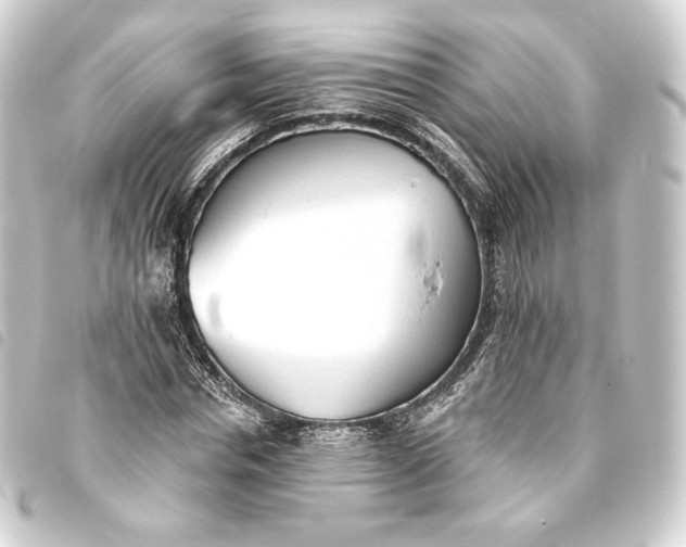 X0000093740826200710301103