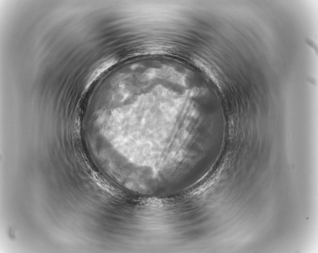 X0000093740827200710301103