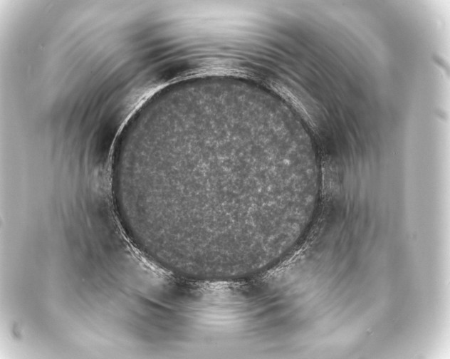 X0000093740828200710301103