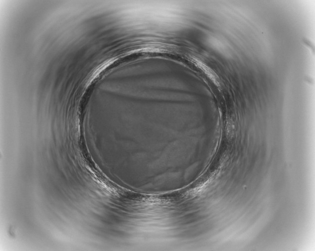 X0000093740829200710301103