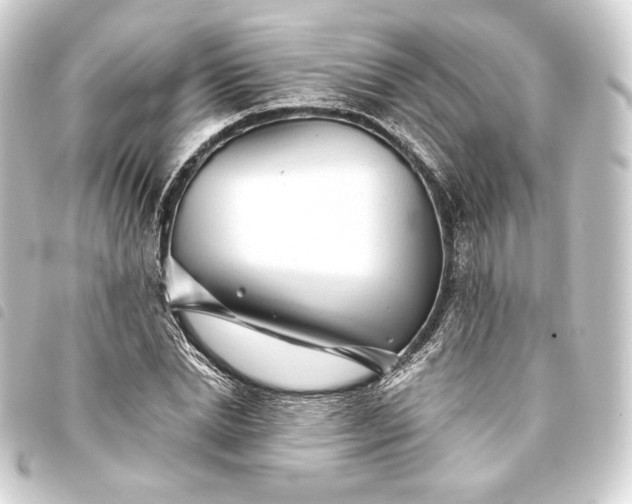 X0000093740830200710301103