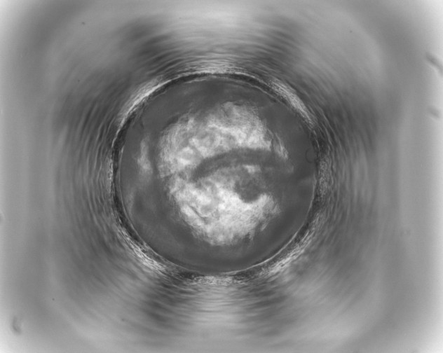 X0000093740831200710301103