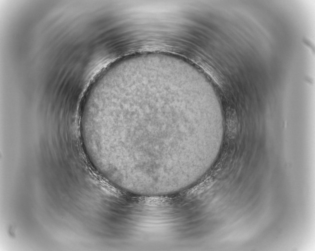 X0000093740832200710301103