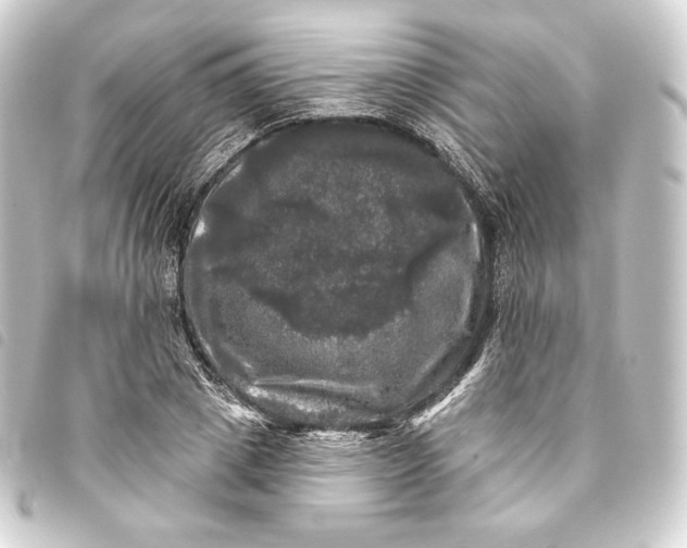 X0000093740833200710301103