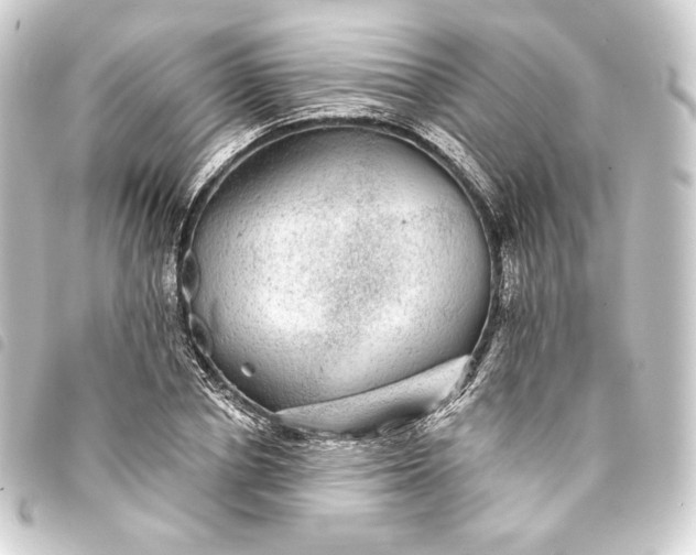 X0000093740834200710301103