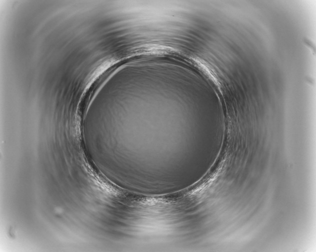 X0000093740835200710301103