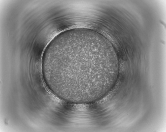 X0000093740836200710301103