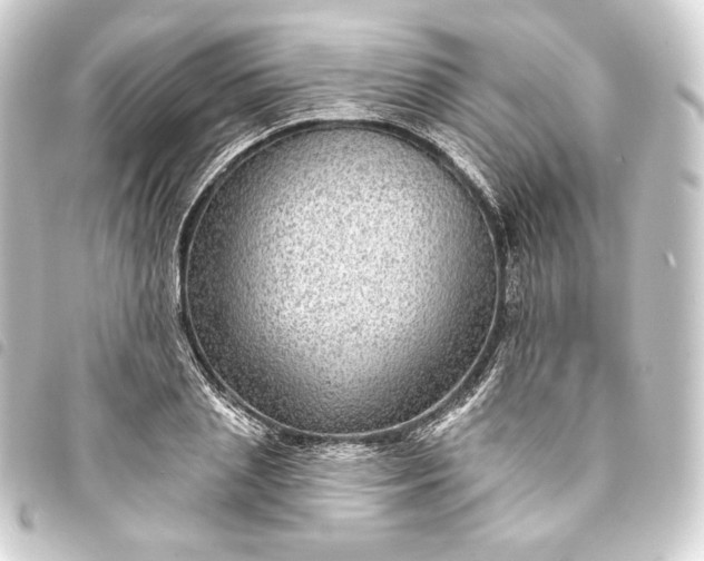 X0000093740837200710301103