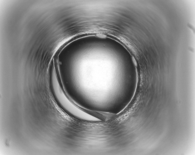 X0000093740838200710301103