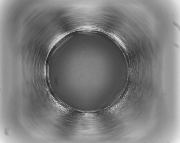 X0000093740839200710301103