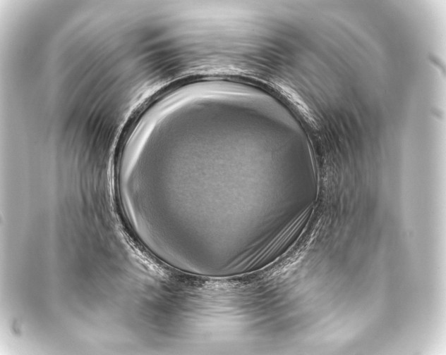 X0000093740840200710301103