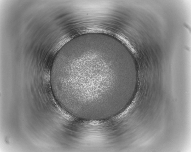 X0000093740841200710301103