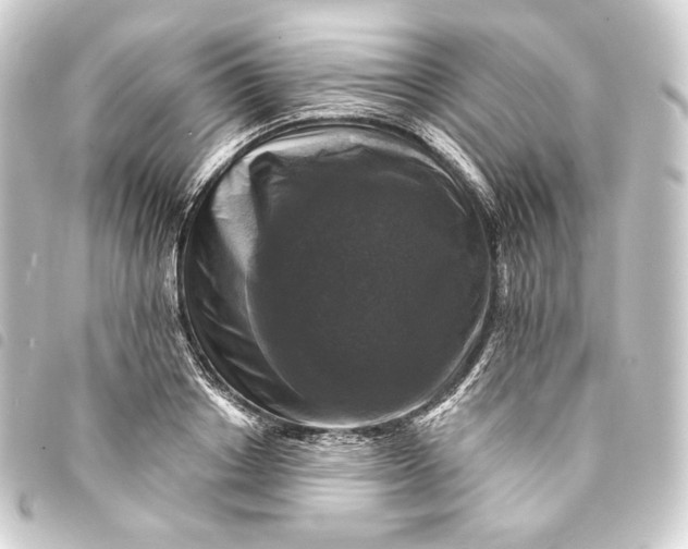 X0000093740842200710301103