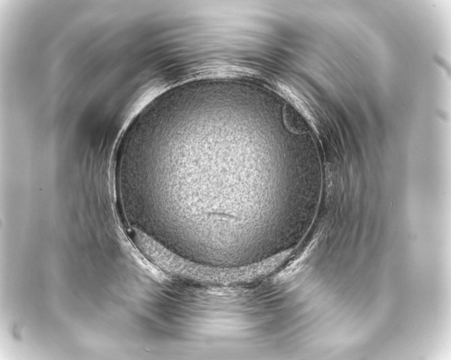 X0000093740843200710301103