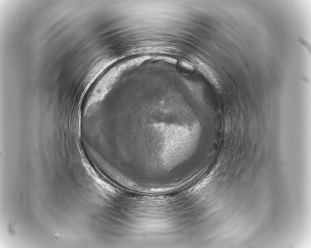 X0000093740844200710301103