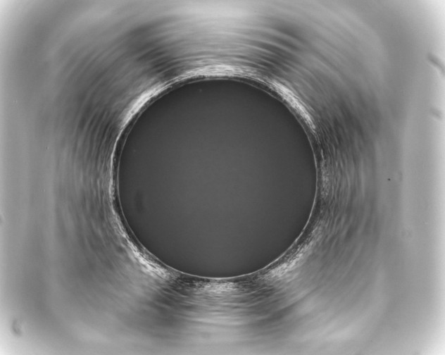 X0000093740845200710301103