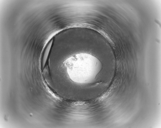 X0000093740846200710301103