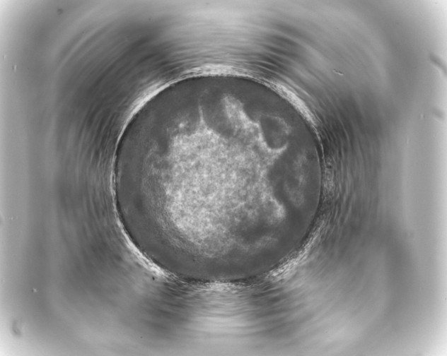 X0000093740847200710301103