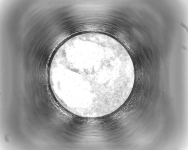 X0000093740848200710301103