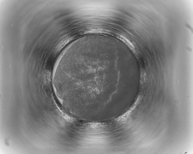 X0000093740849200710301103