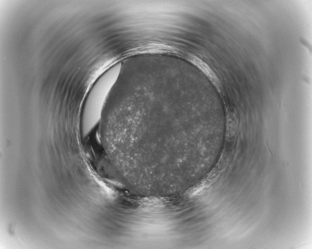 X0000093740850200710301103