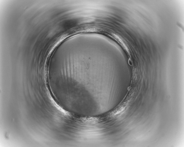 X0000093740851200710301103