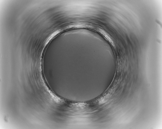 X0000093740853200710301103