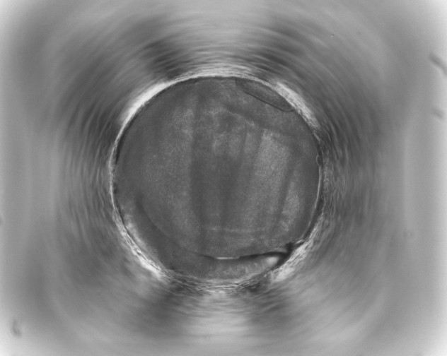 X0000093740854200710301103