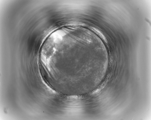 X0000093740855200710301103