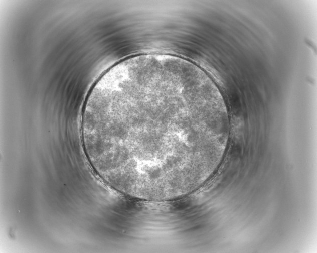 X0000093740856200710301103