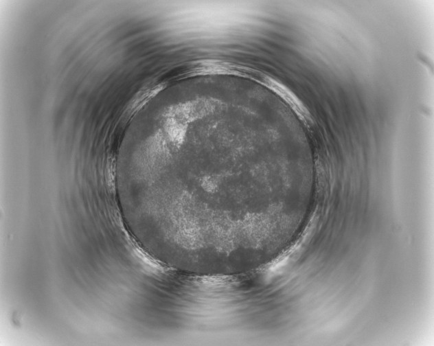 X0000093740857200710301103