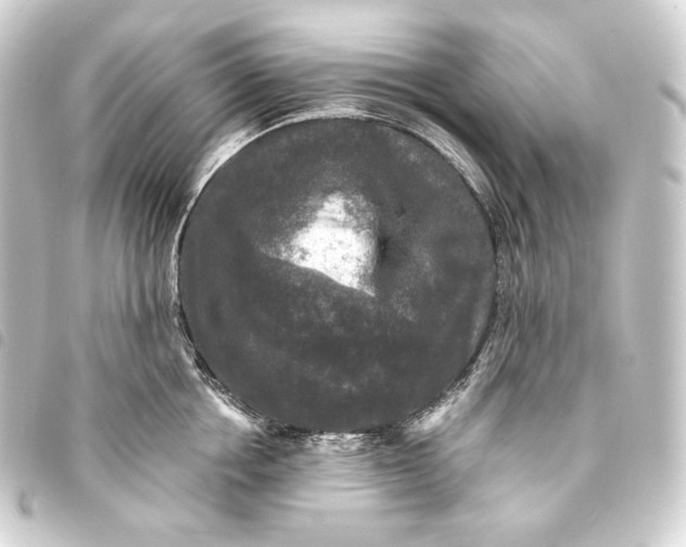 X0000093740858200710301103