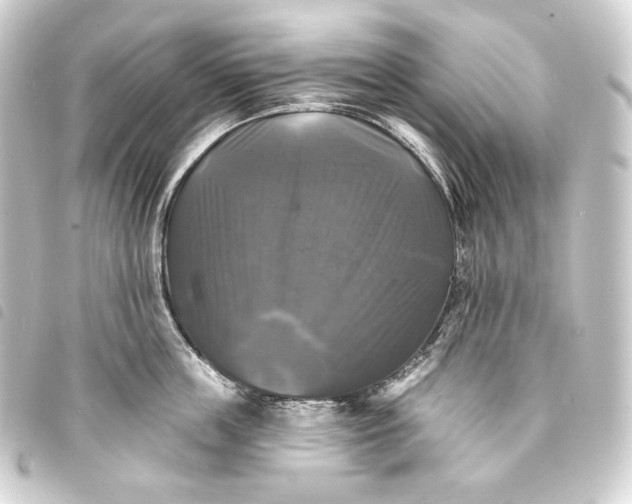 X0000093740859200710301103