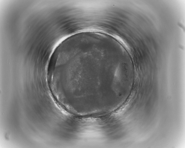 X0000093740862200710301103