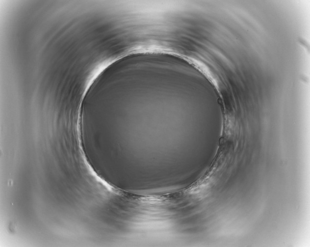 X0000093740863200710301103