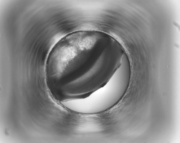 X0000093740864200710301103